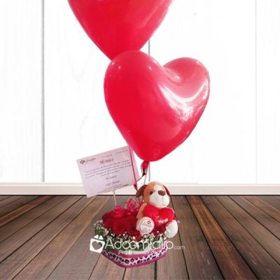 Flores Bucaramanga Caja de Corazon Rosas y Peluche