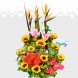 Flores a domicilio en Cali Girasoles 