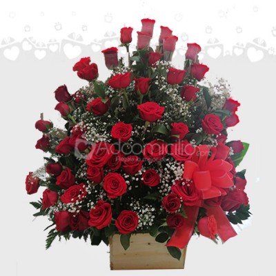 Regalos de amor y amistad a domicilio en Cali Arreglo redondo de una sola cara con 50 rosas