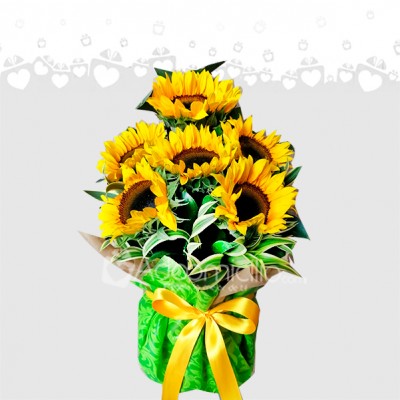 Flortisteria cali amor y amistad a domicilio en Cali Encanto de Girasoles