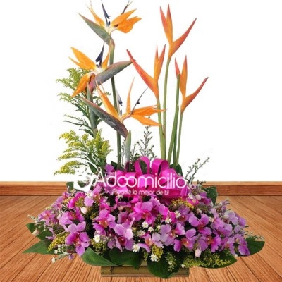 Arreglo Con Flores Exóticas Y Orquídeas A Domicilio En Cali