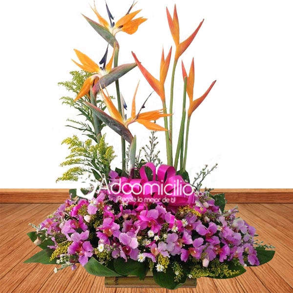 Arreglo Con Flores Exóticas Y Orquídeas A Domicilio En Cali