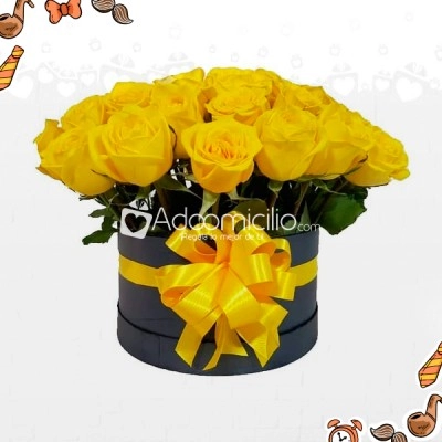 Caja De Rosas x 20 A Domicilio En Cali Regalos Para Hombres