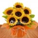 Encanto De Girasoles A Domicilio En Cali 