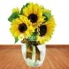 Florero Con Girasoles A Domicilio En Cali 