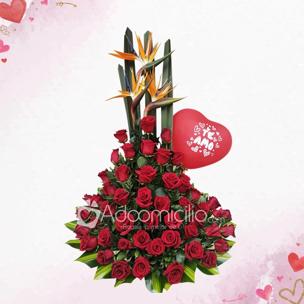 Hermosas Rosas Rojas Regalos Amor Y Amistad A Domicilio En Cali
