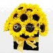 Regalo De Girasoles Día De La Mujer A Domicilio En Cali