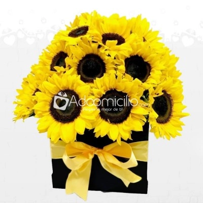 Regalo De Girasoles Día De La Mujer A Domicilio En Cali