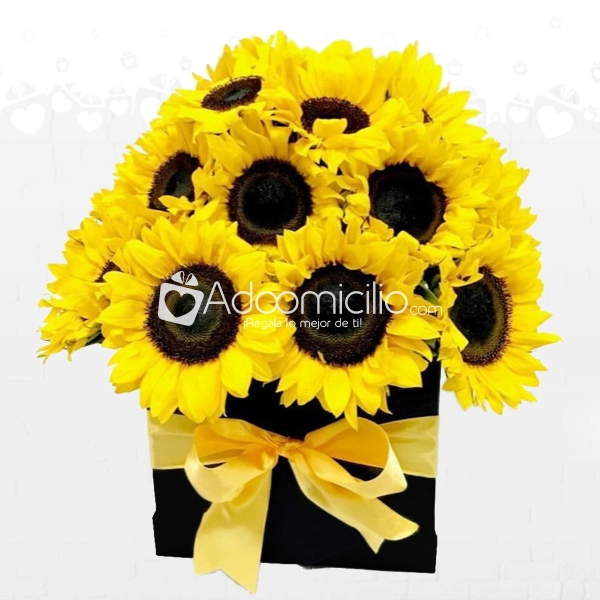 Regalo De Girasoles Día De La Mujer A Domicilio En Cali
