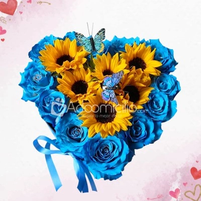 Rosas Y Mariposas Regalos De Amor Y Amistad A Domicilio En Cali