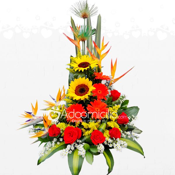 My Image 22
