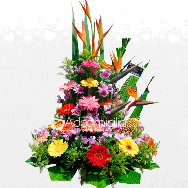 Gerberas Para Ella Arreglos Florales Para El Dia De La Madre A Domicilio En Pereira