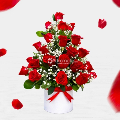 Ramo De Rosas Rojas Para Amor Y Amistad A Domicilio En Pereira Pedido Con Un Día De Anticipación