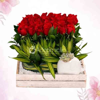 Arreglo Floral Rosas Rojas Con Suculenta Regalos Dia De La Madre En Medelin A Domicilio
