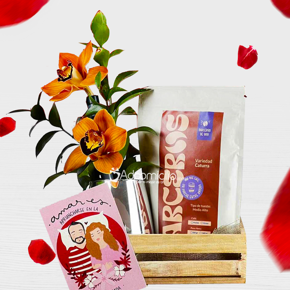 Regalo Con Orquídea Para San Valentín A Domicilio En Medellín 