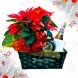 Ancheta Para Navidad Con Planta De Poncentia A Domicilio En Medellín Pedido Con Un Día De Anticipación 