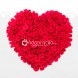 Solamente Tú Corazón Arreglos Florales A Domicilio En Barranquilla