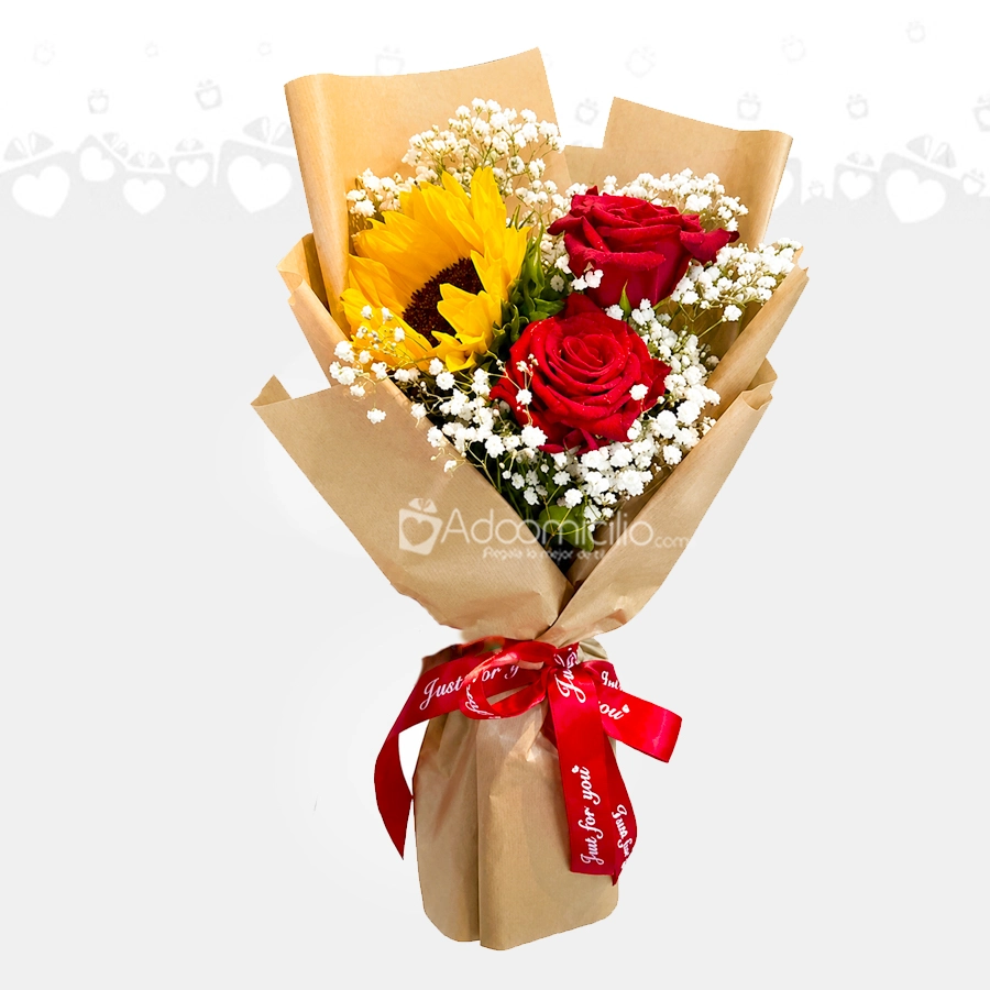 Girasol Y Rosas Para Conquistar A Domicilio En Barranquilla 