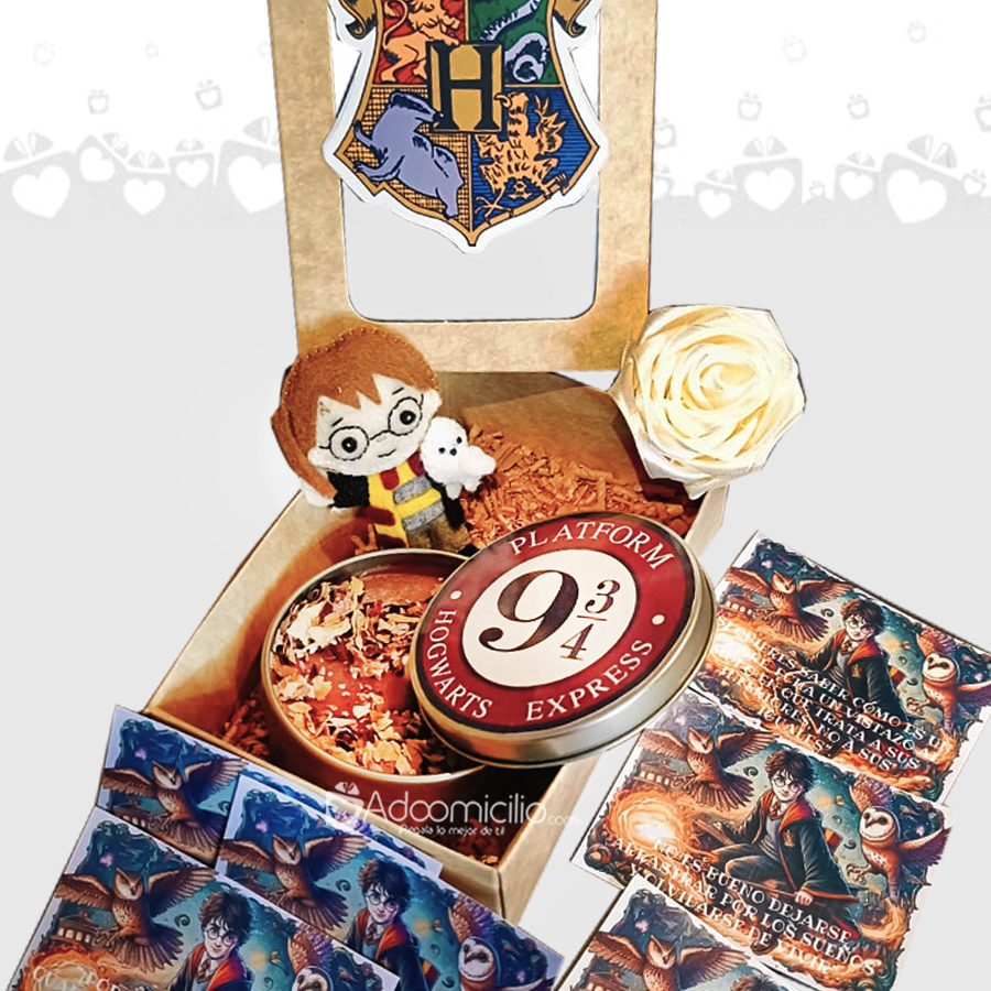 Regalo Para Hombre De Amor Y Amistad Con Temática De Harry Potter A Domicilio En Bogotá 
