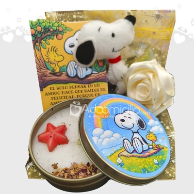 Regalo Con Temática De Snoopy Para Amor Y Amistad A Domicilio En Bogotá Pedido Con Un Día De Anticipación 