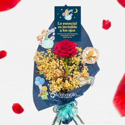 Regalo Con Temática Del Principito A Domicilio En Bogotá Pedido Con Un Día De Anticipación