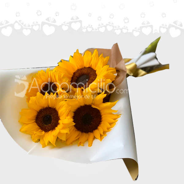 Bouquet Con Girasoles Para Hombre A Domicilio En Armenia Pedido Con Un Día De Anticipación