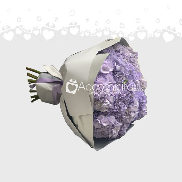 Hermoso Arreglo De Hortensias A Domicilio En Armenia Pedido Con Un Dia De Anticipado