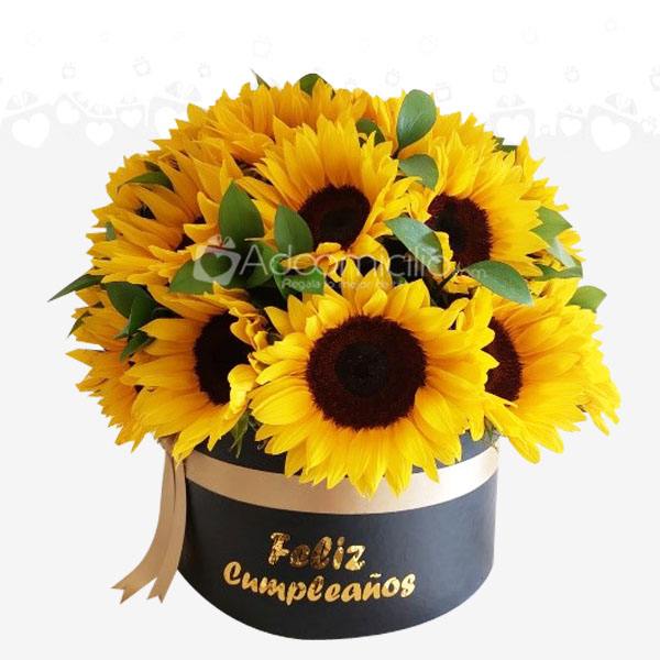 Arreglo Floral Ramo Xl girasoles Regalo de cumpleaños Para Hombre