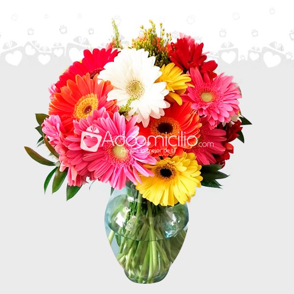 ARREGLO FLORAL DE GERBERAS CDMX