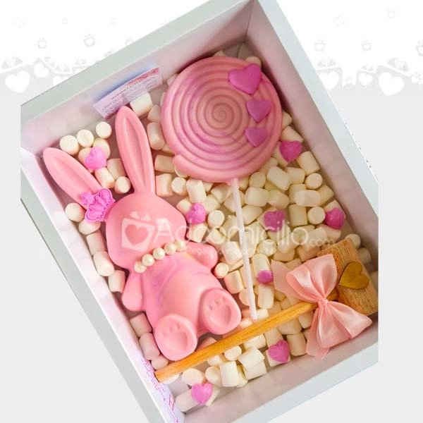 Regalo Para Niña Conejita De Chocolate A Domicilio En Bucaramanga Pedido Con 1 Día De Anticipación 