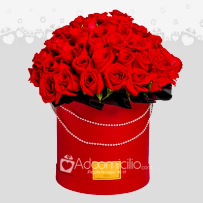 Caja De Rosas Premium San Valentín a Domicilio Medellín 
