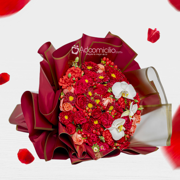 Rosas Y Orquídeas Para El Día De Amor Y Amistad A Domicilio En Medellín 
