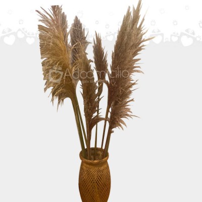 Pampas decorativas con jarron