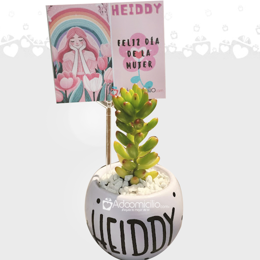 Suculenta o cactus con matera personalizada día de la mujer a domicilio Bogotá pedido con 1 día de anticipacion