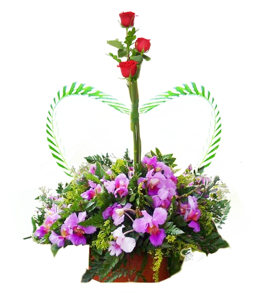 Arreglo Floral Con Orquídeas A Domicilio En Cali