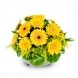 Arreglo Floral De Gerberas A Domicilio En Cali 