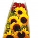 Caja De Girasoles A Domicilio En Cali