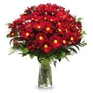 Florero Con Margaritas A Domicilio En Cali 