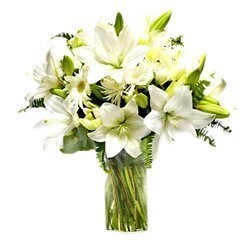Lirios Blancos En Florero A Domicilio En Cali